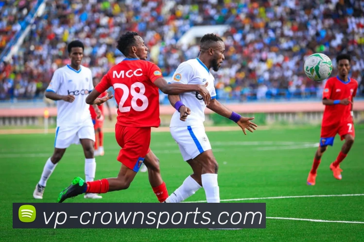 App Interface Preview