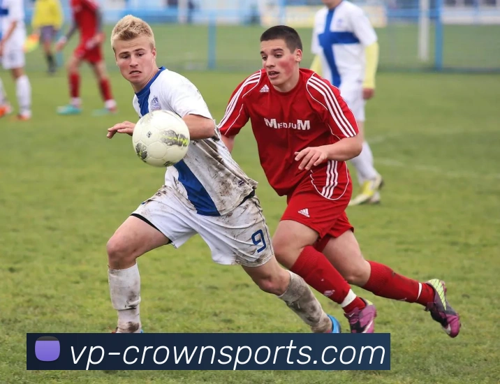 皇冠体育APP 封面图